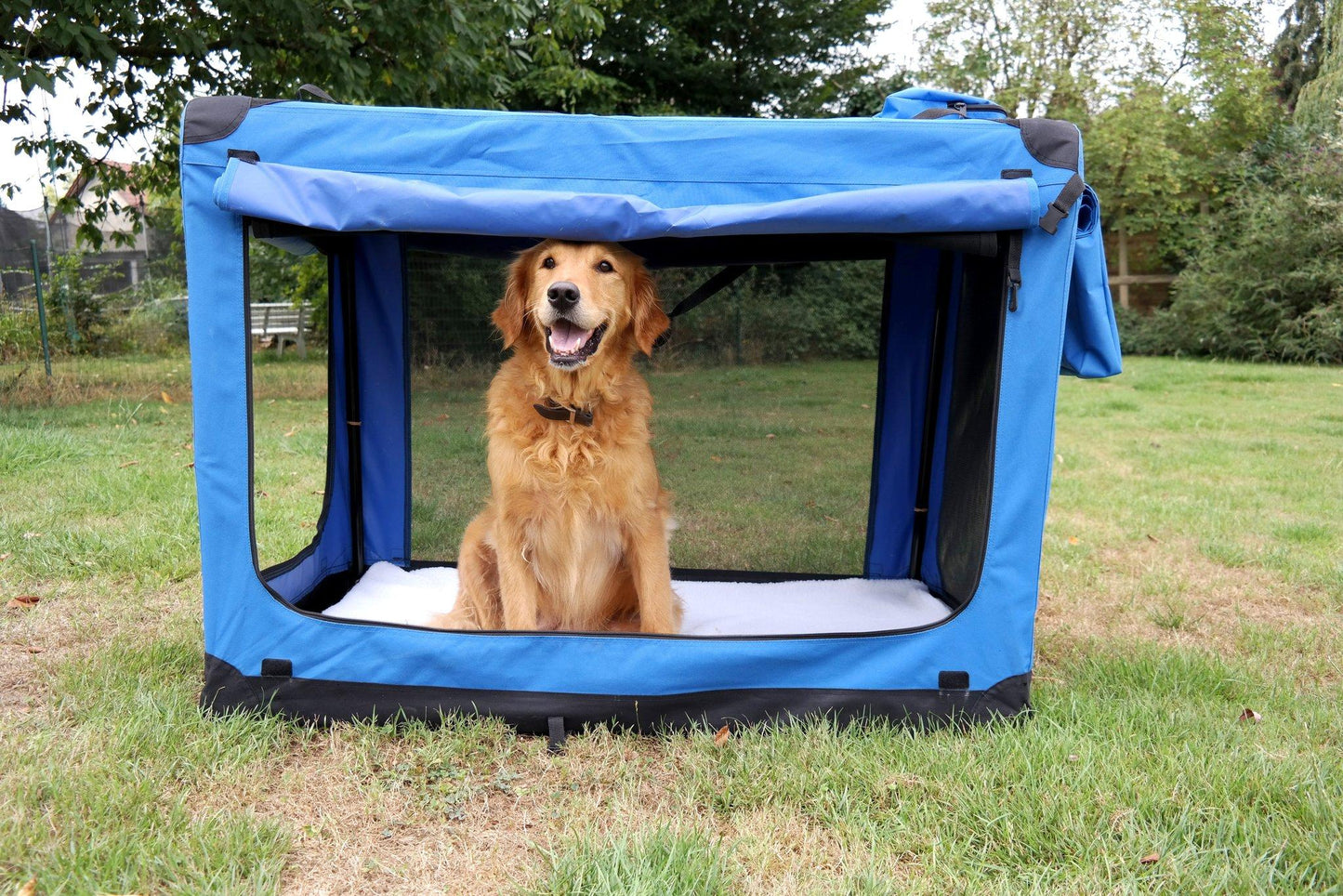 FLC08.1_1024x1024@2x