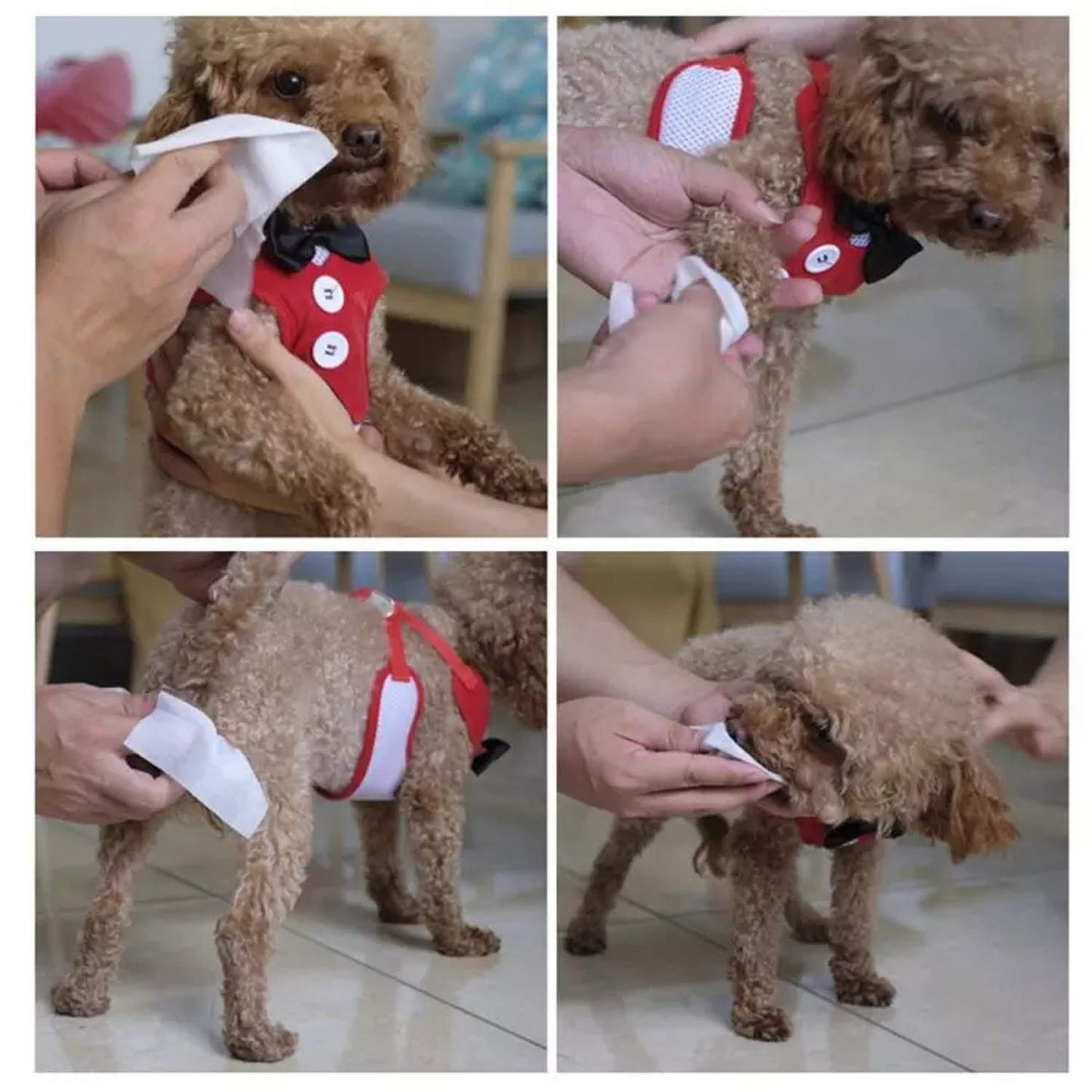 Basil Daily All Purpose Wet Wipes for Dogs & Cats