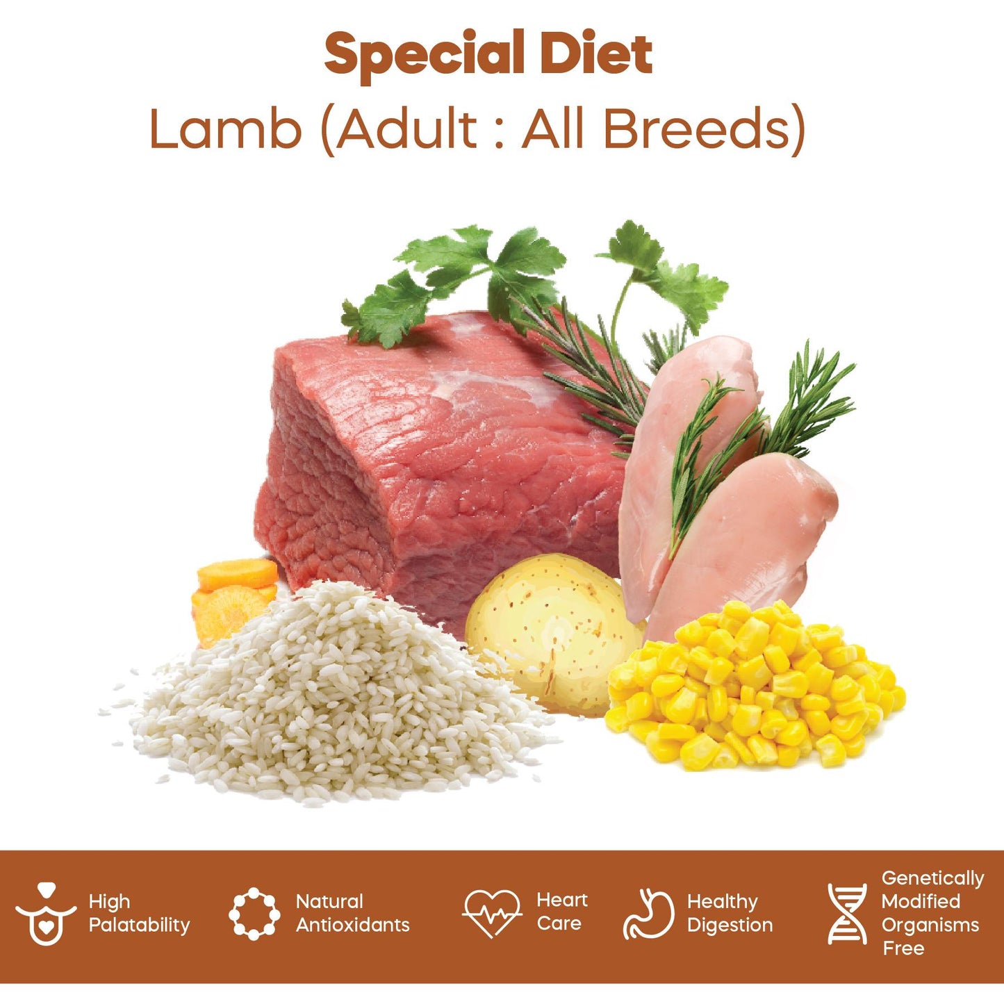 Lamb-02