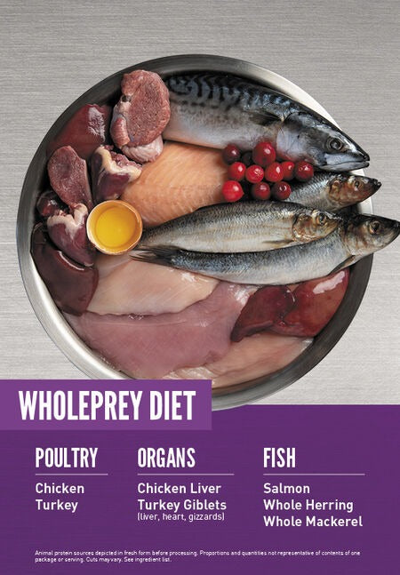 Orijen Kitten Dry Cat Food