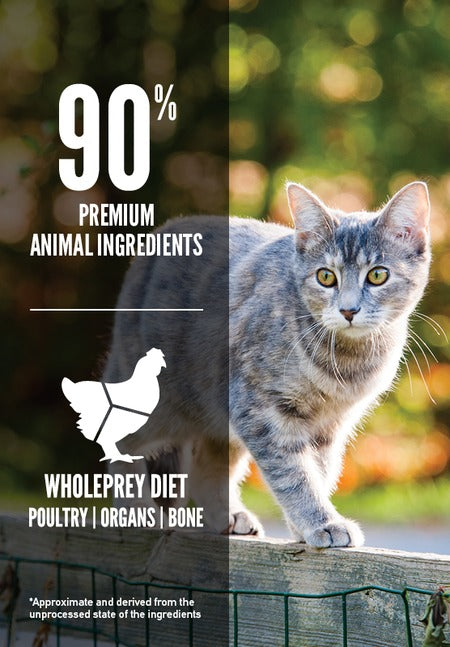 Orijen Original Adult Cat Dry Food