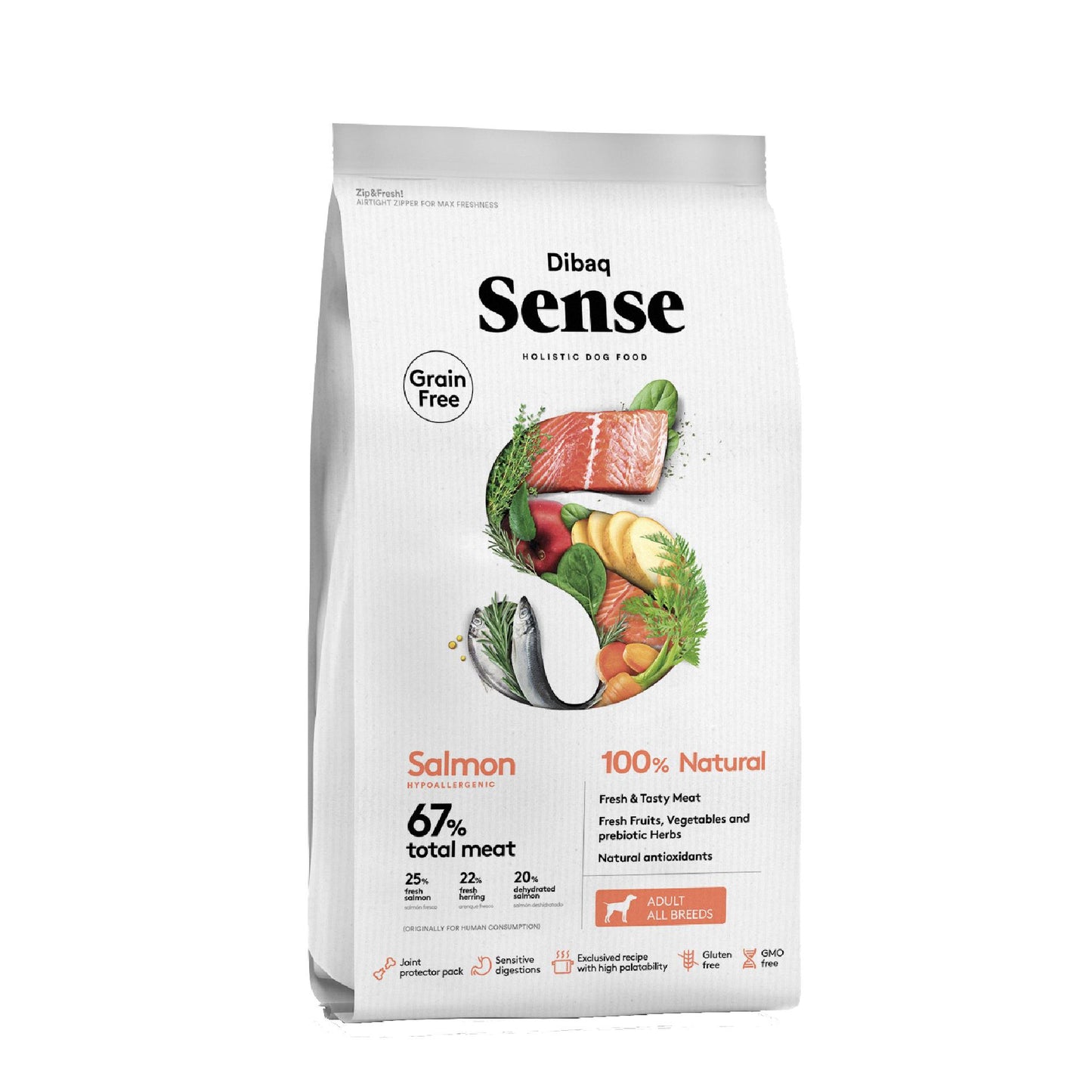 Salmon-01