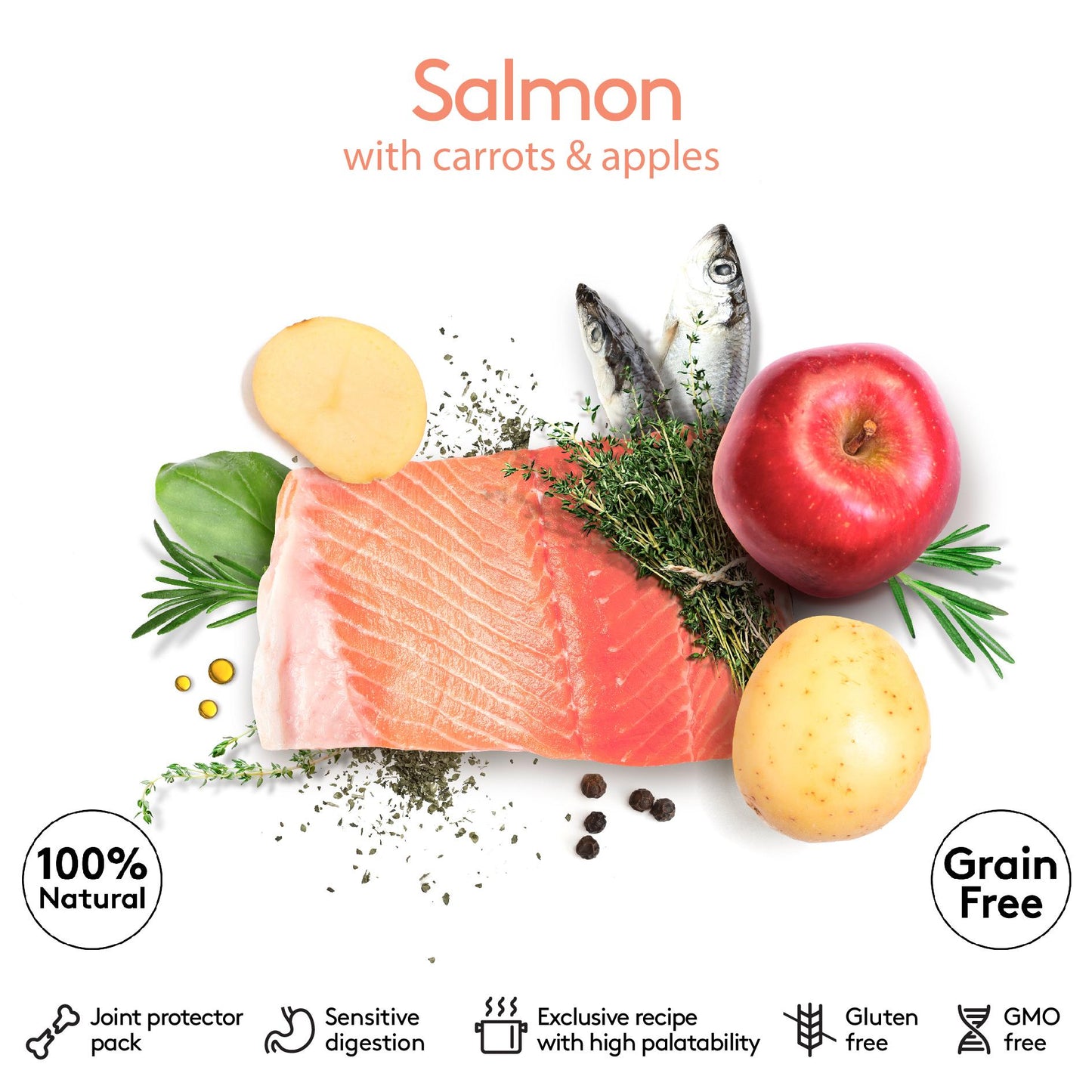 Salmon-02-02