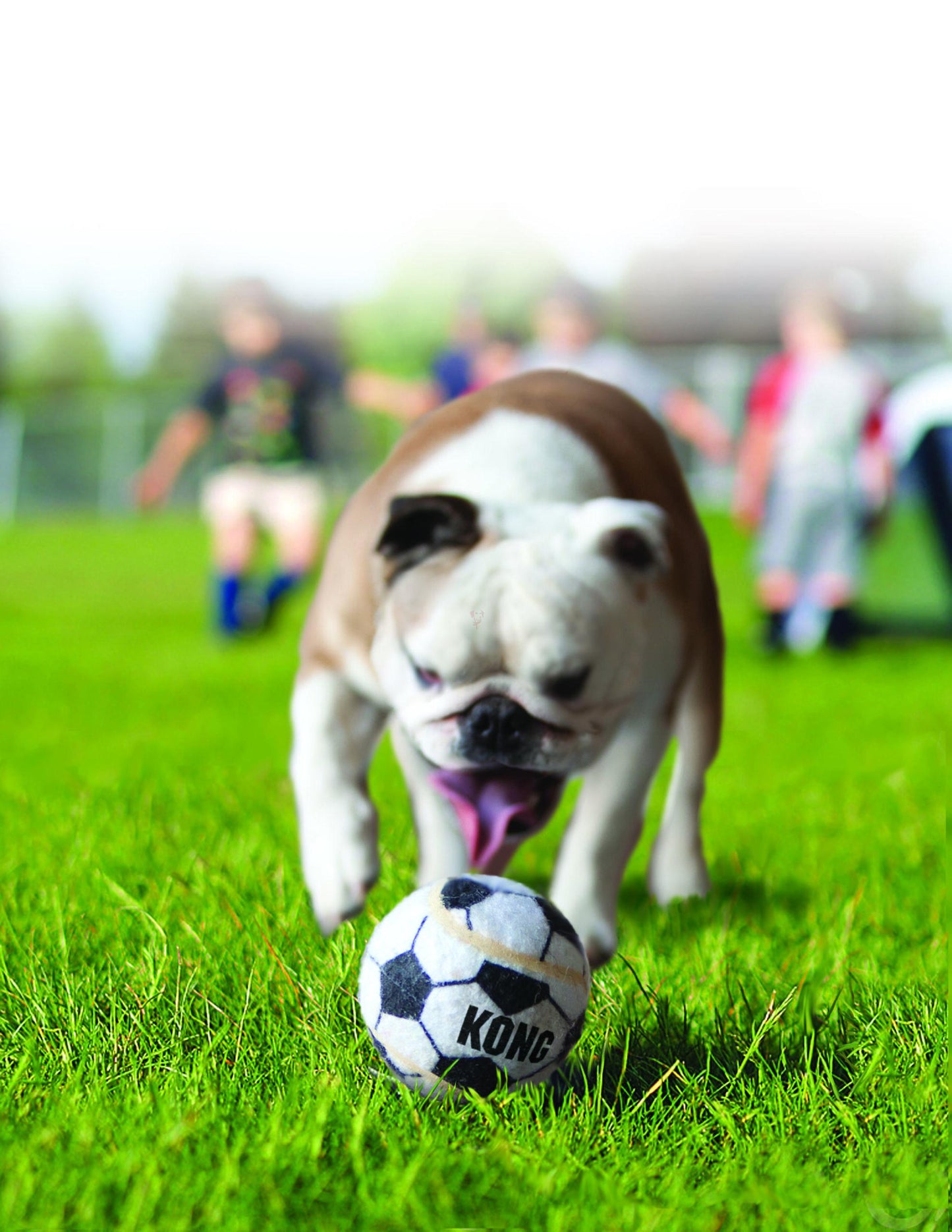 SportBalls_Lifestyle