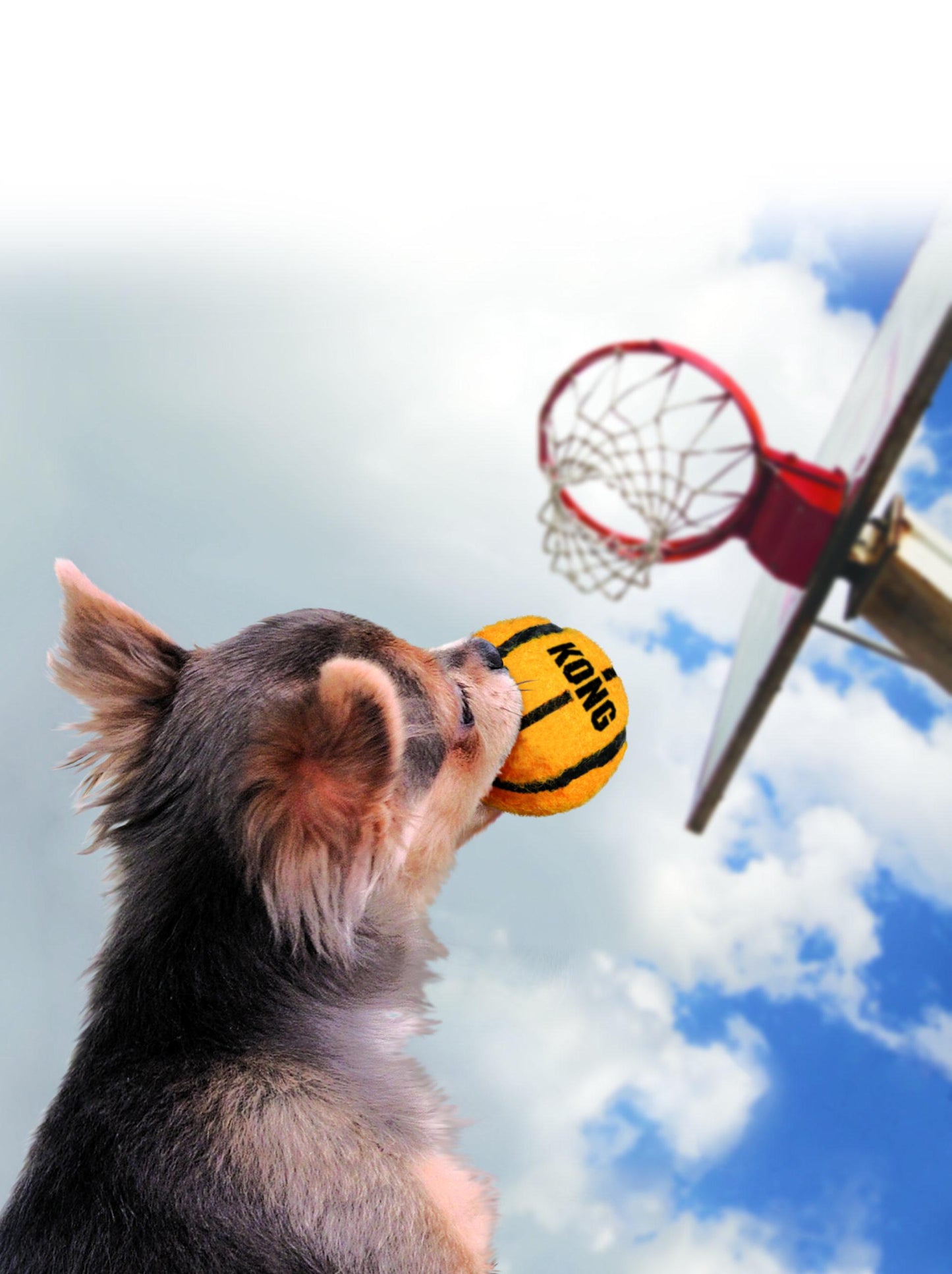 SportBalls_Lifestyle_2