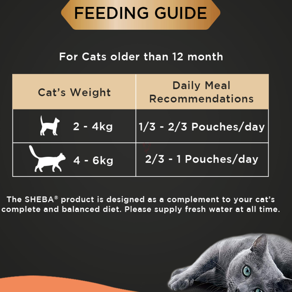 Untitleddesign_3_3792ab36-fd70-4e9e-a184-d68648cf80c8_510x@2x