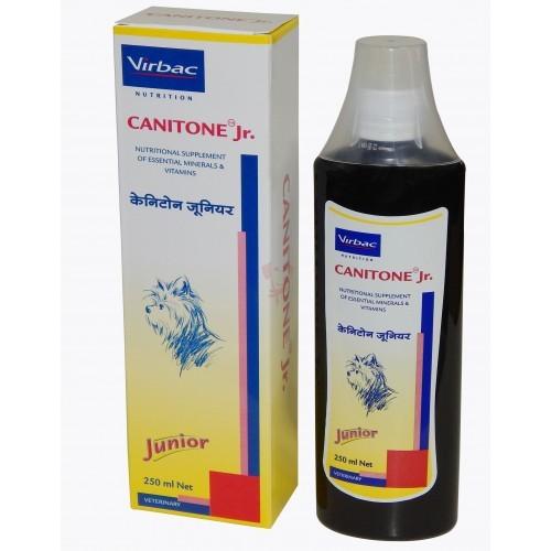 anv-cantinjr