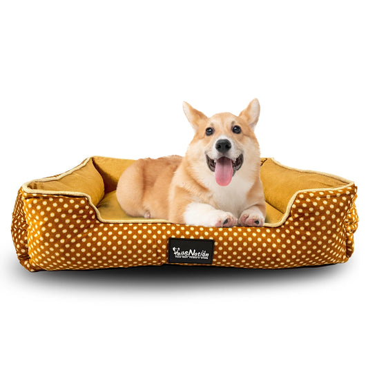 bed 3
