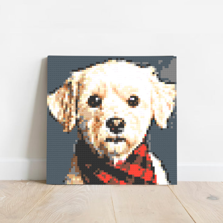 Tails Nation Pixel Art Gallery For Your Furry Friend