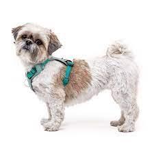 download - 2022-08-21T151133.433