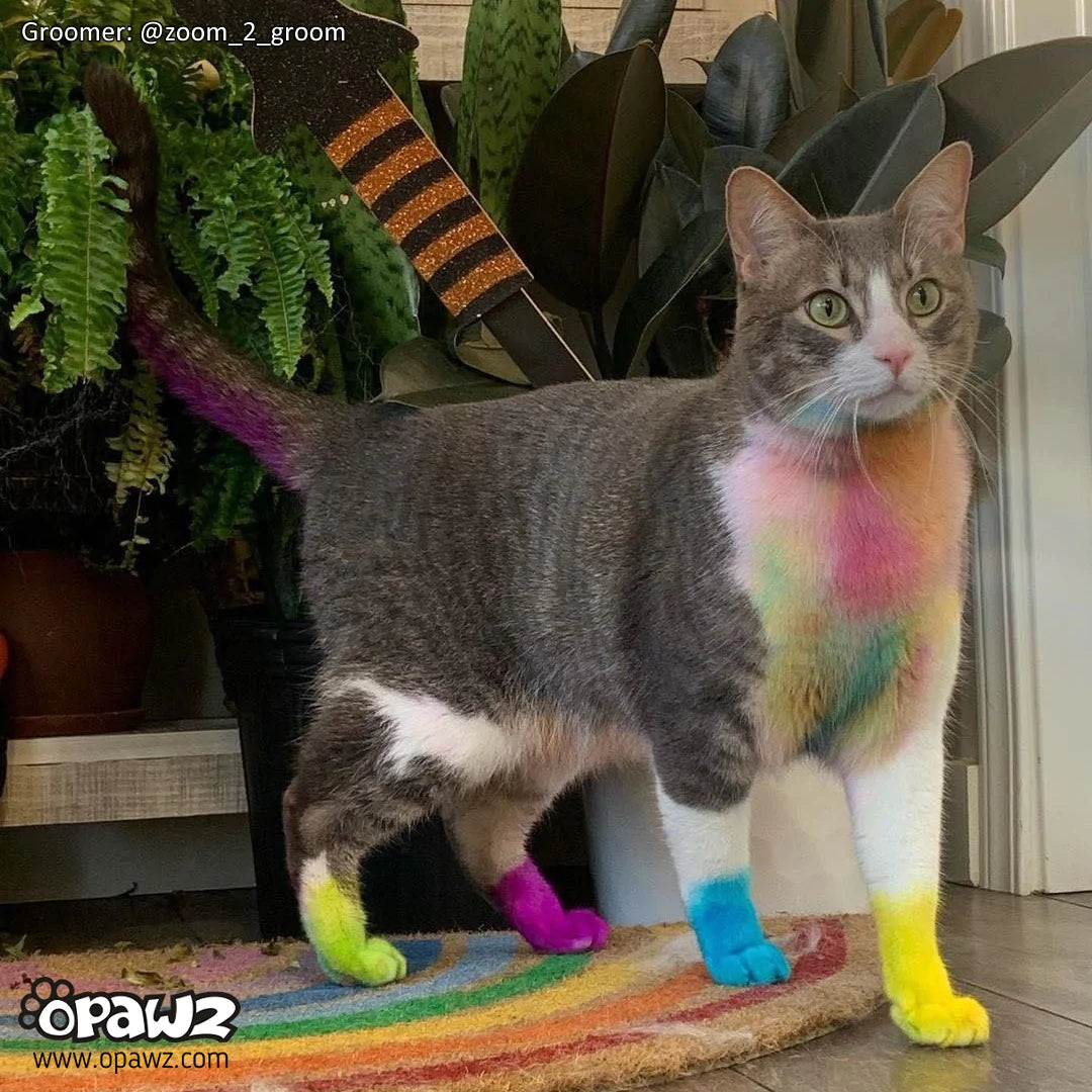 image_2021-11-01_141215_1080x