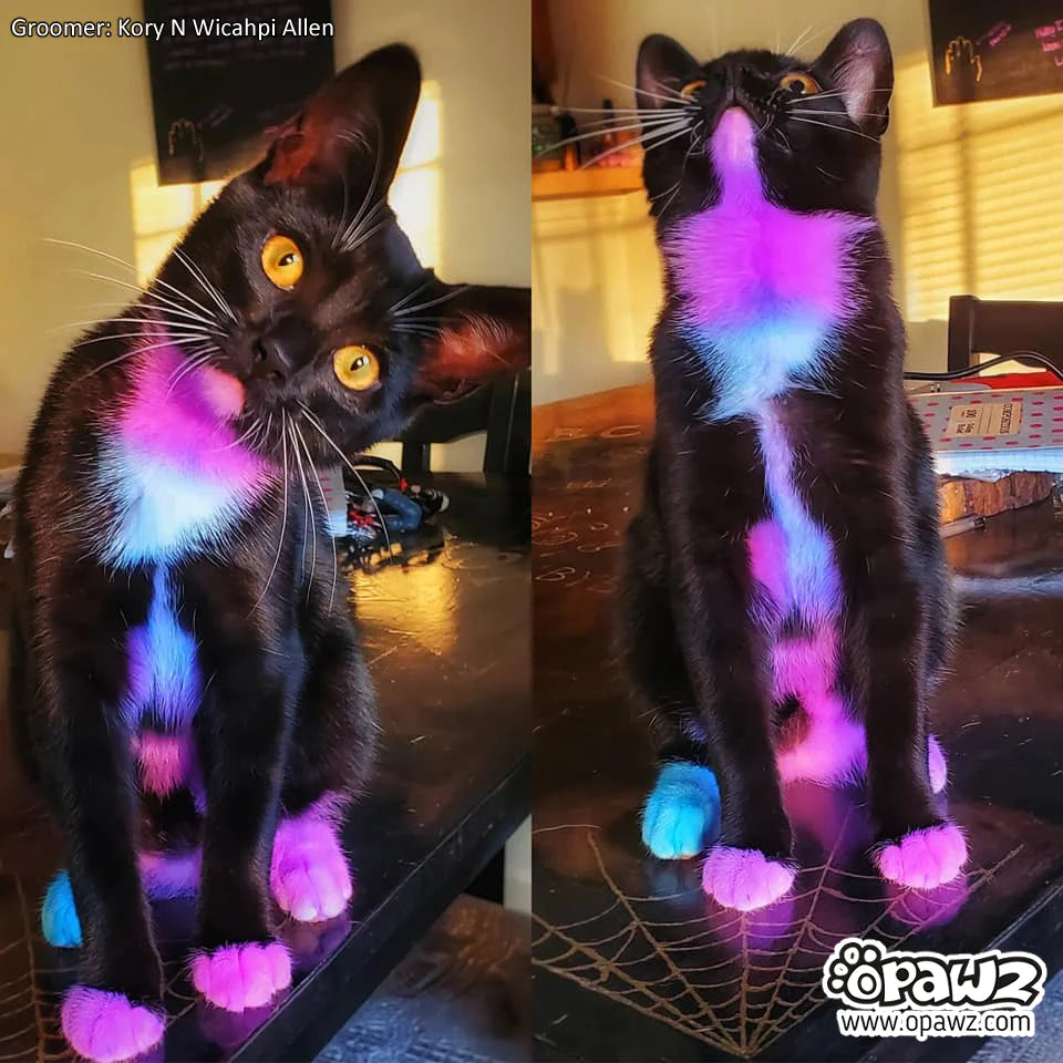 image_2021-11-01_150731_960x