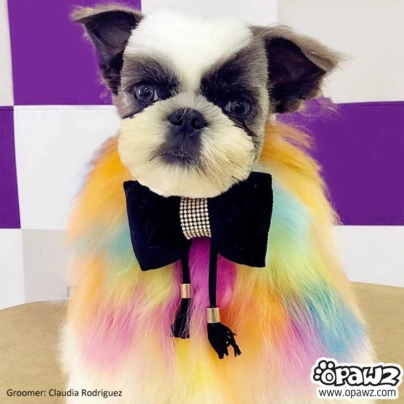 image_2022-01-24_144017_800x