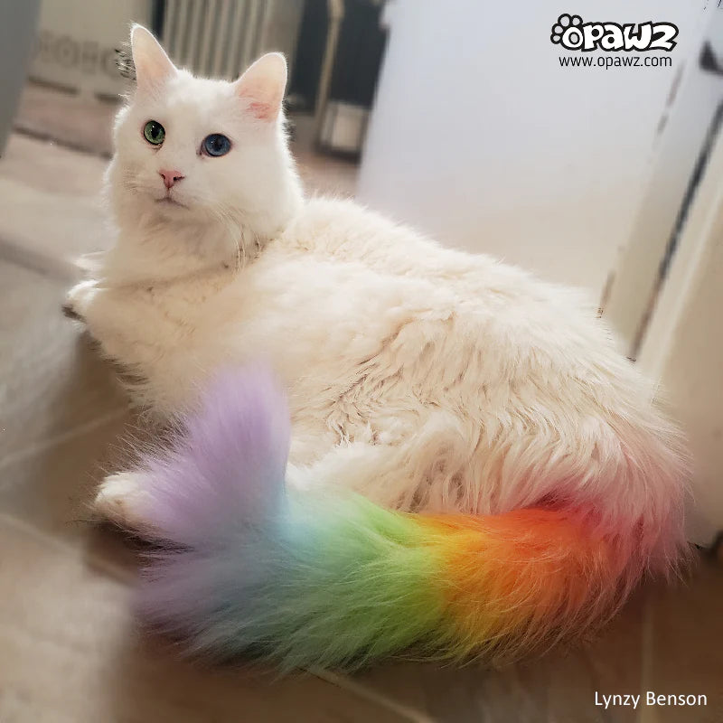 image_2022-07-20_112910663_800x