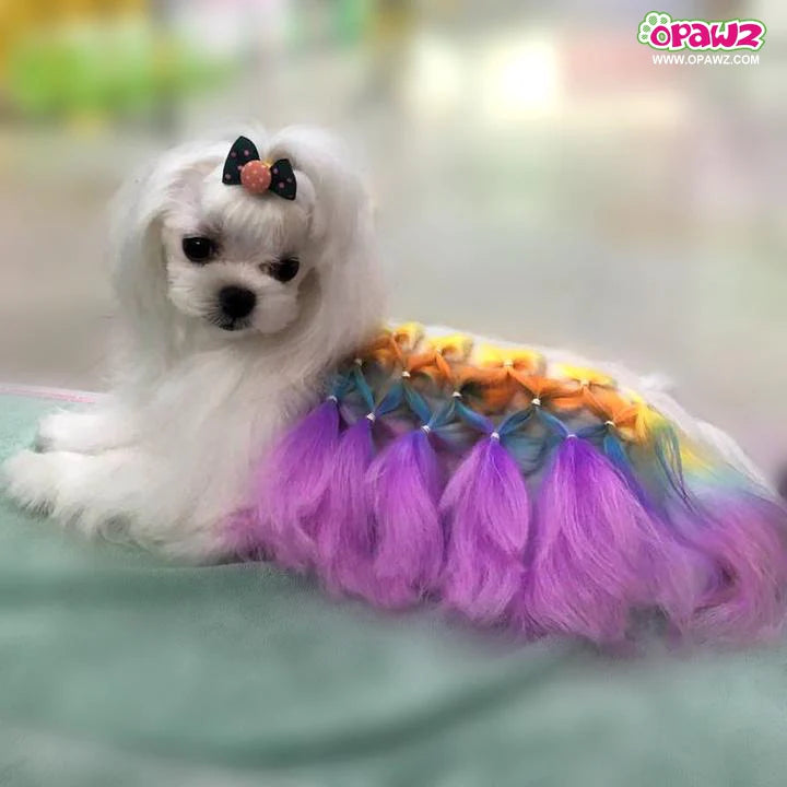 opawz_dog_dye_semi-permanent_color_for_dog_and_cat_720x