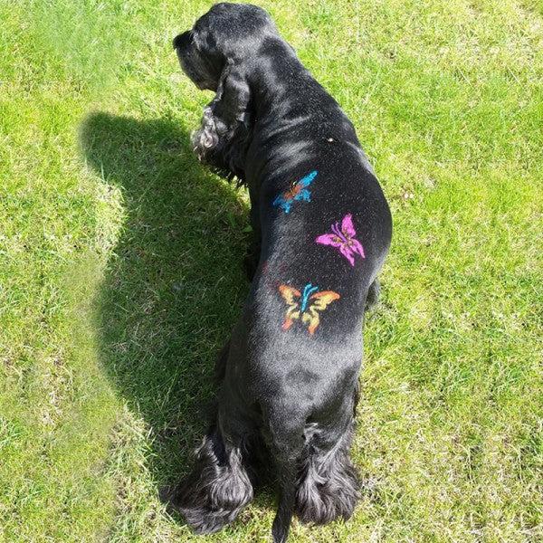 opawz_pet_chalk_for_dog_2__8_600x