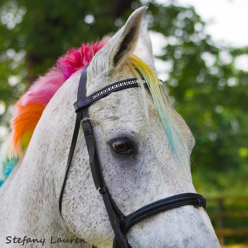 opawzsemi-permanentcolorfordogandcat_1000x