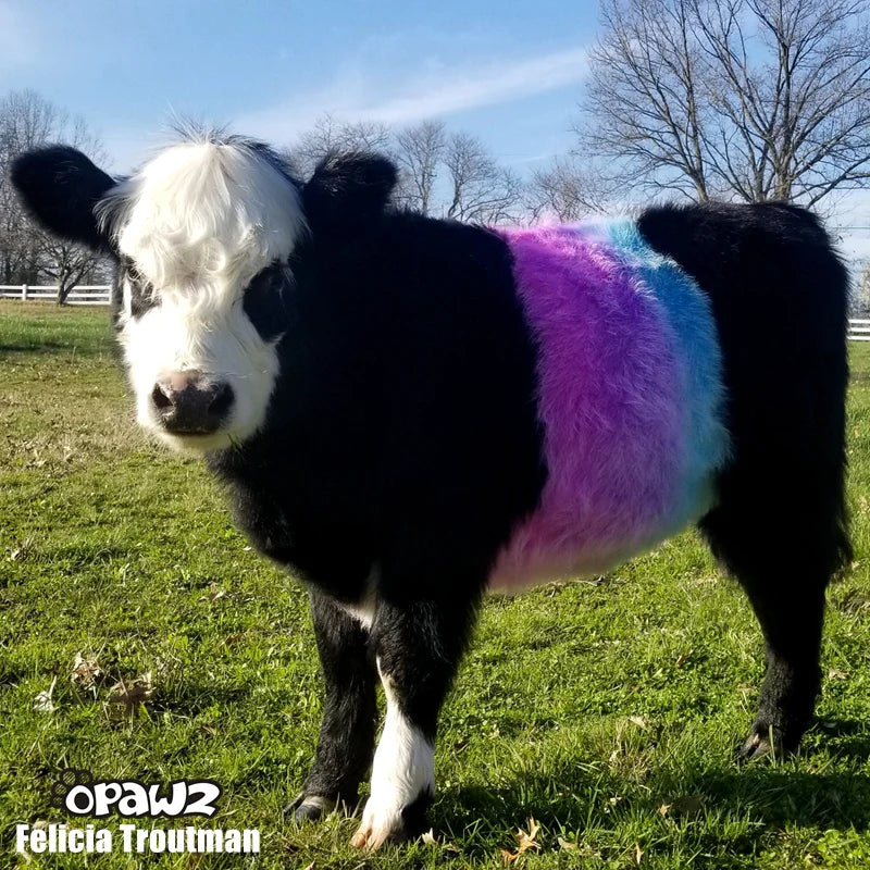 opawzsemi-permanentpethaircolorforcow_goat_800x