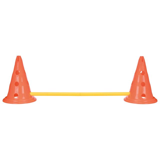 Trixie Dog Agility Obstacles (Pylon & Poles) Set  78cm/30x23cm