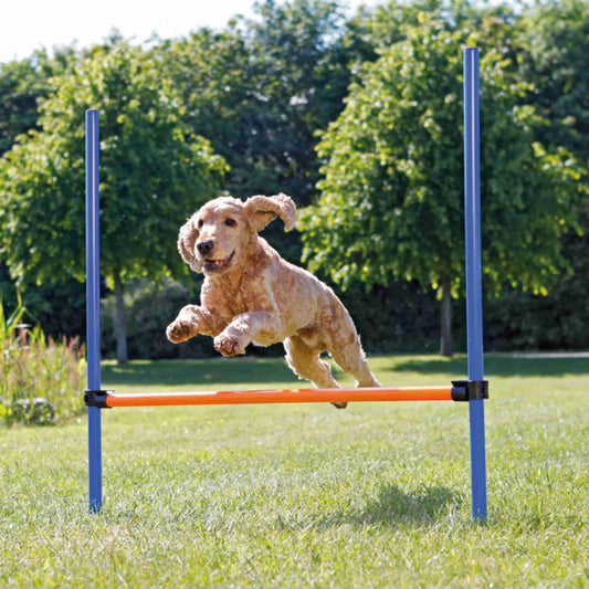 Trixie Agility Hurdle Blue/ Orange Set For Dogs