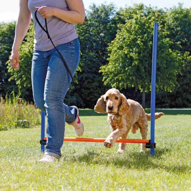 Trixie Agility Hurdle Blue/ Orange Set For Dogs
