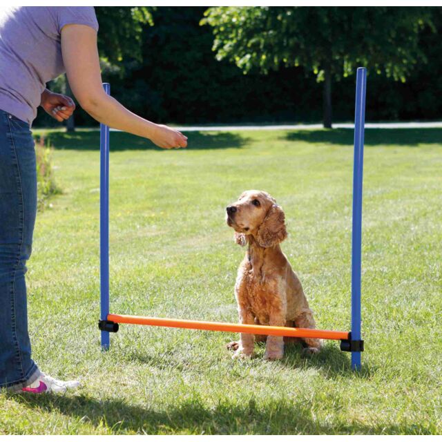 Trixie Agility Hurdle Blue/ Orange Set For Dogs