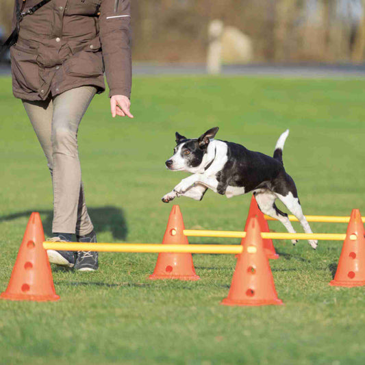 Trixie Dog Agility Obstacles (Pylon & Poles) Set  78cm/30x23cm