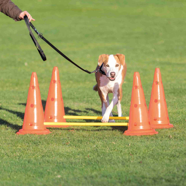 Trixie Dog Agility Obstacles (Pylon & Poles) Set  78cm/30x23cm