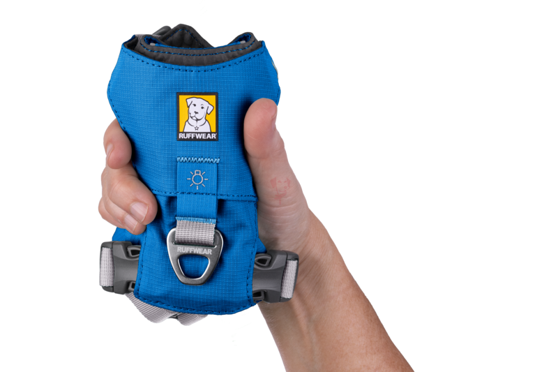 webimage-25B4294E-09D9-4D6A-BCECB7D6D8EA1678