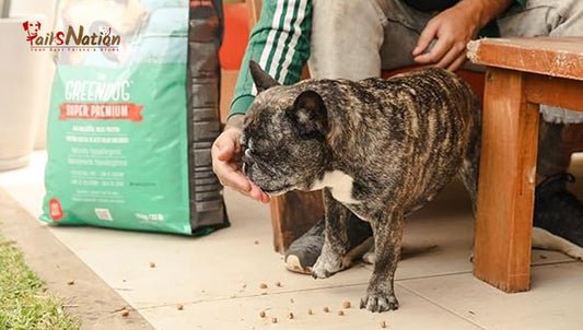 Unleashing Nutritional Excellence: A Guide to the Best Dog Food