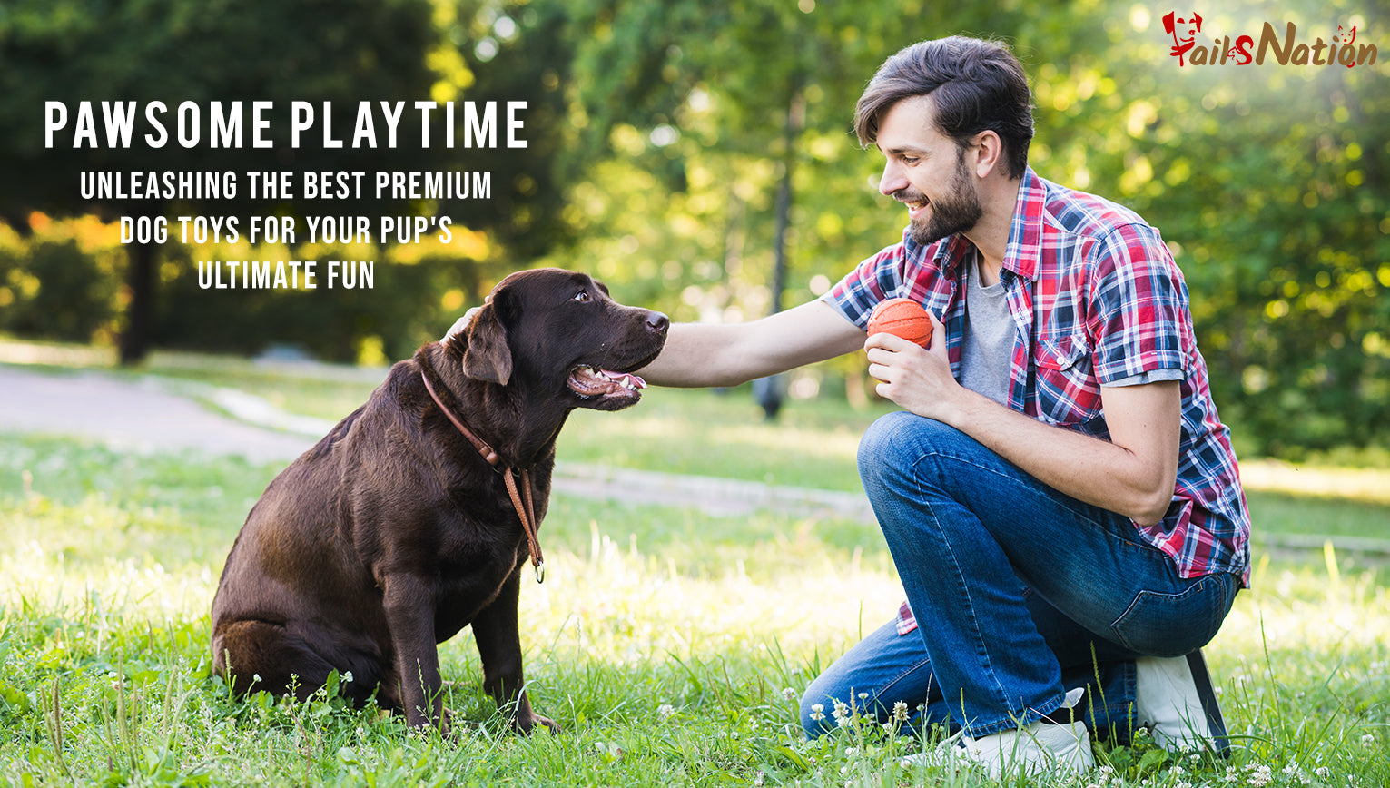 Pawsome Playtime: Unleashing the Best Premium Dog Toys for Your Pup's Ultimate Fun