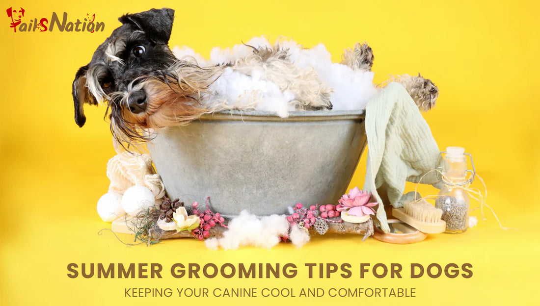 Summer Grooming Tips for Dogs: Keeping Your Canine Cool and Comfortable