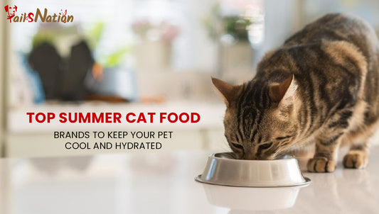 Keep Your Cat Cool and Hydrated: Best Summer Cat Food Brands at Tails Nation