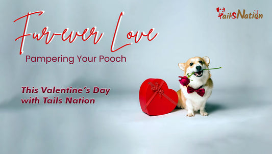Fur-ever Love: Pampering Your Pooch This Valentine’s Day with Tails Nation