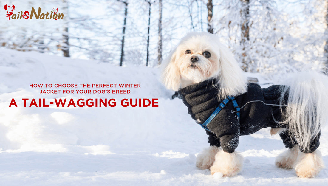 How to Choose the Perfect Winter Jacket for Your Dog’s Breed: A Tail-Wagging Guide