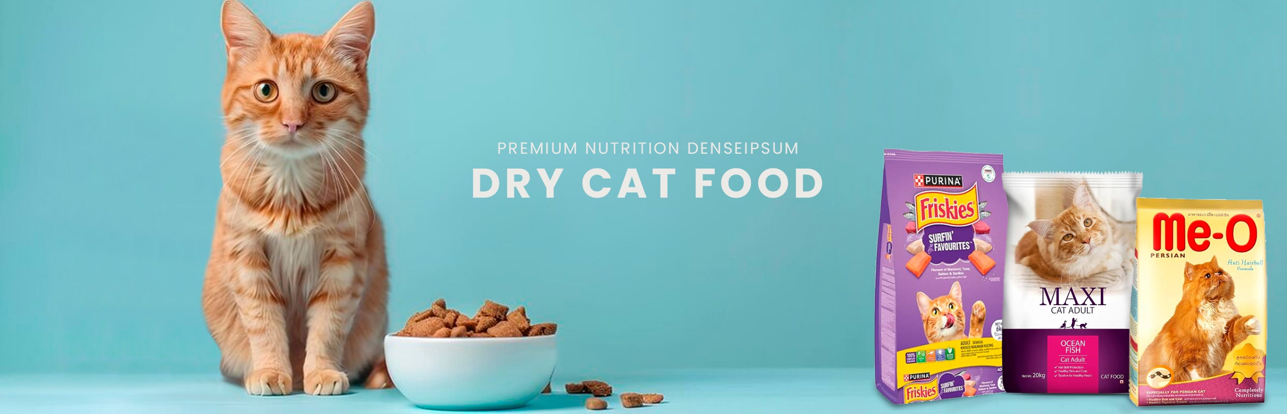 Dry Cat Food