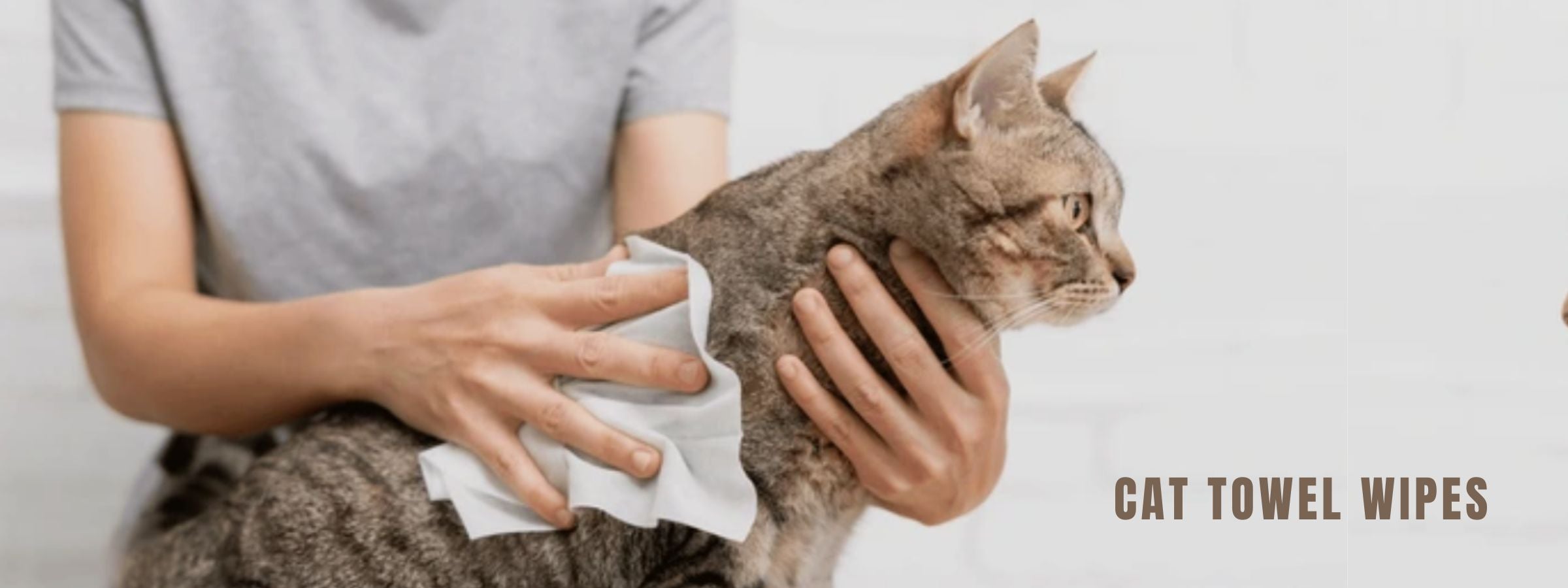 Cat Towel & Wipes