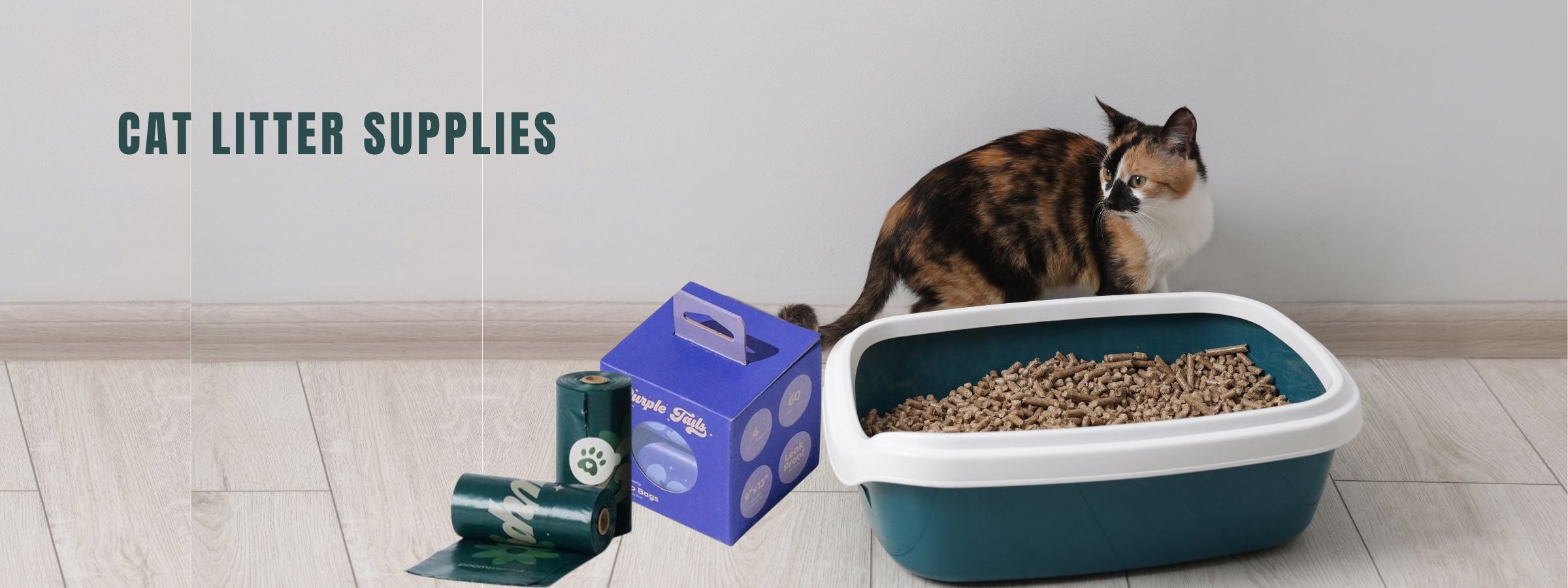 Cat Litter Supplies