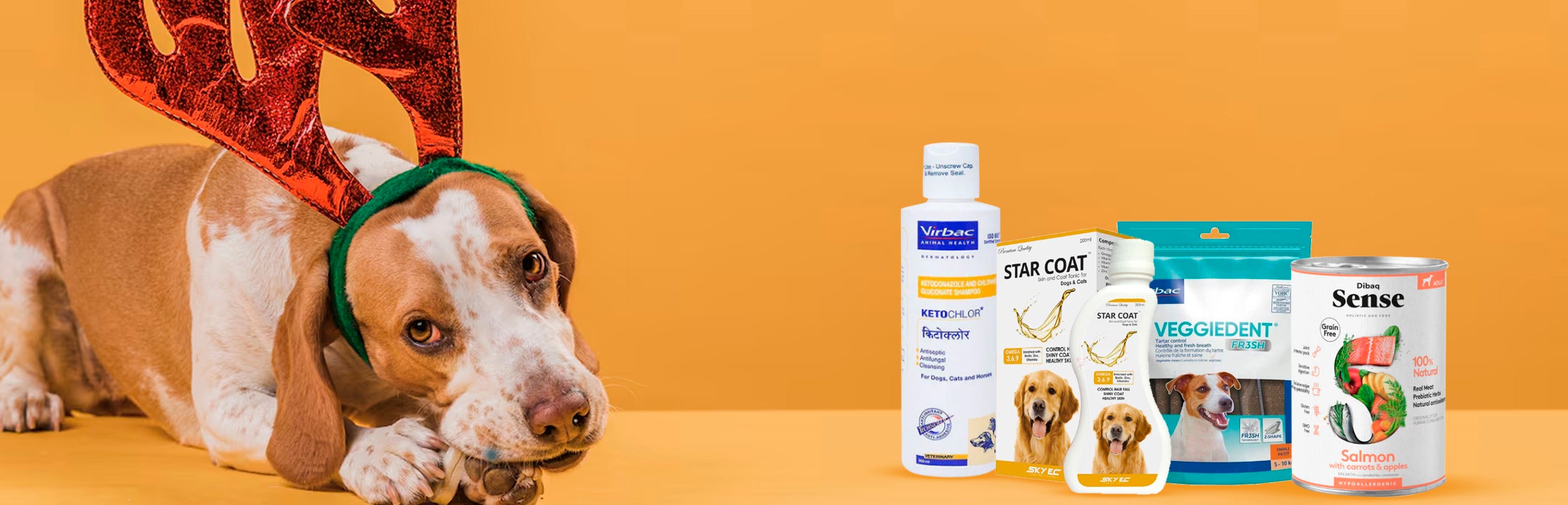 Shop For Dogs