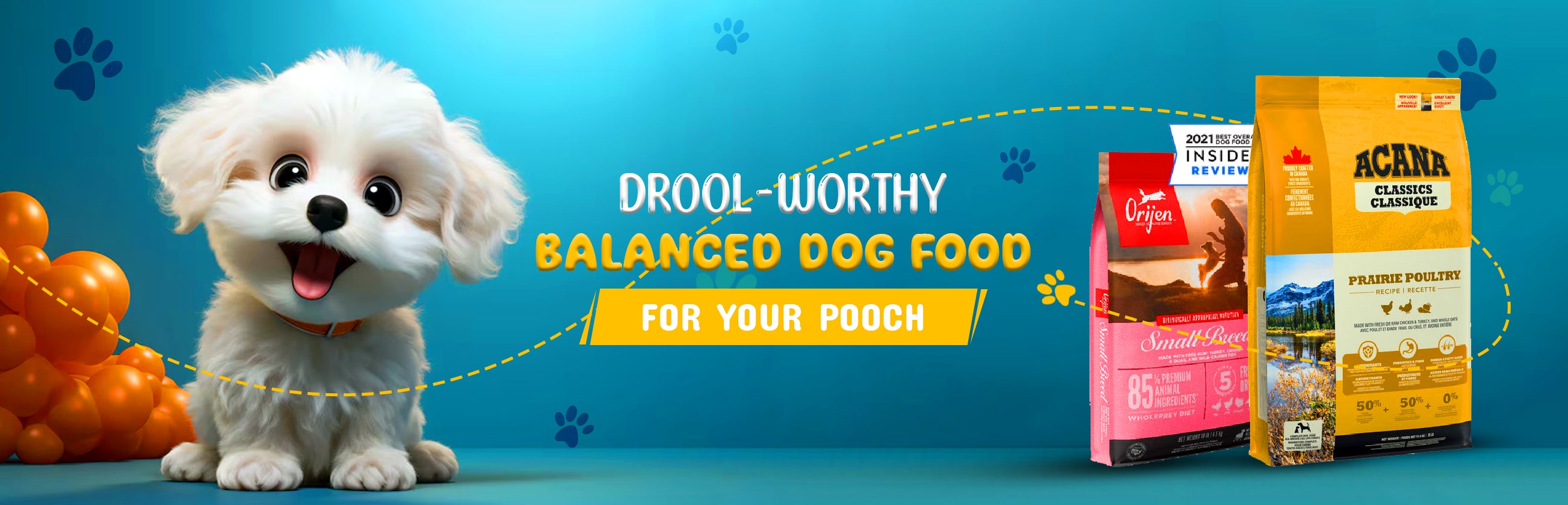 Dry Dog Food