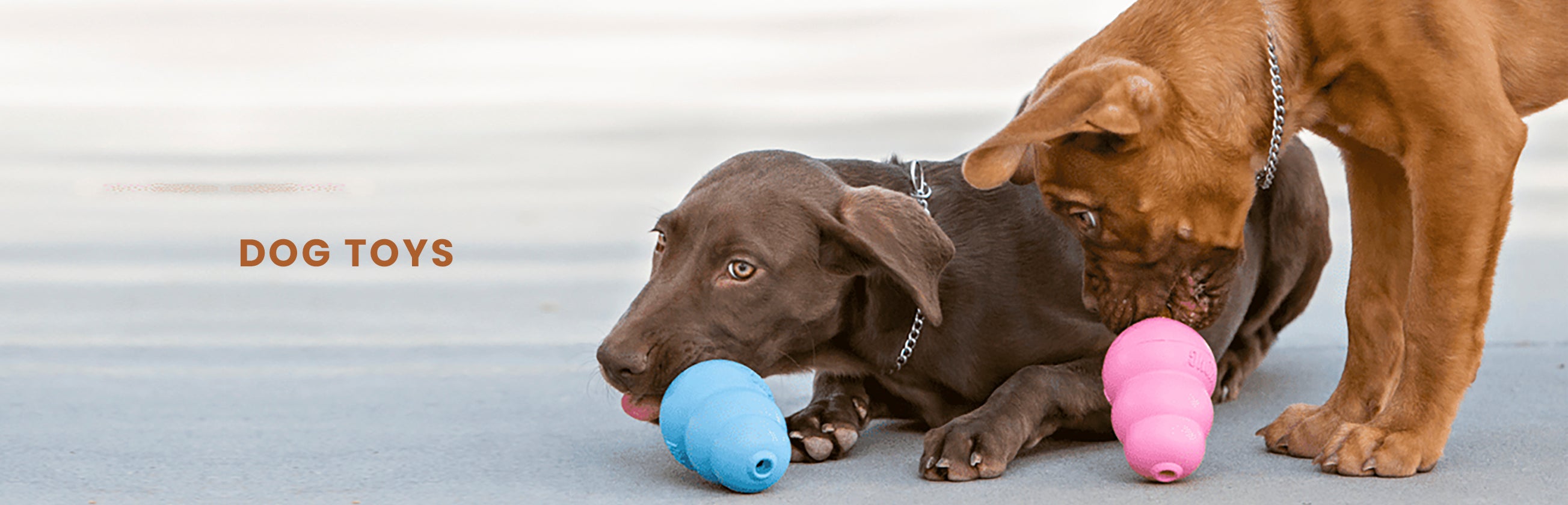 Dog Ball Toys