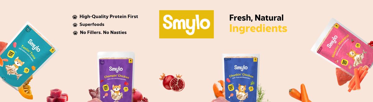 Smylo