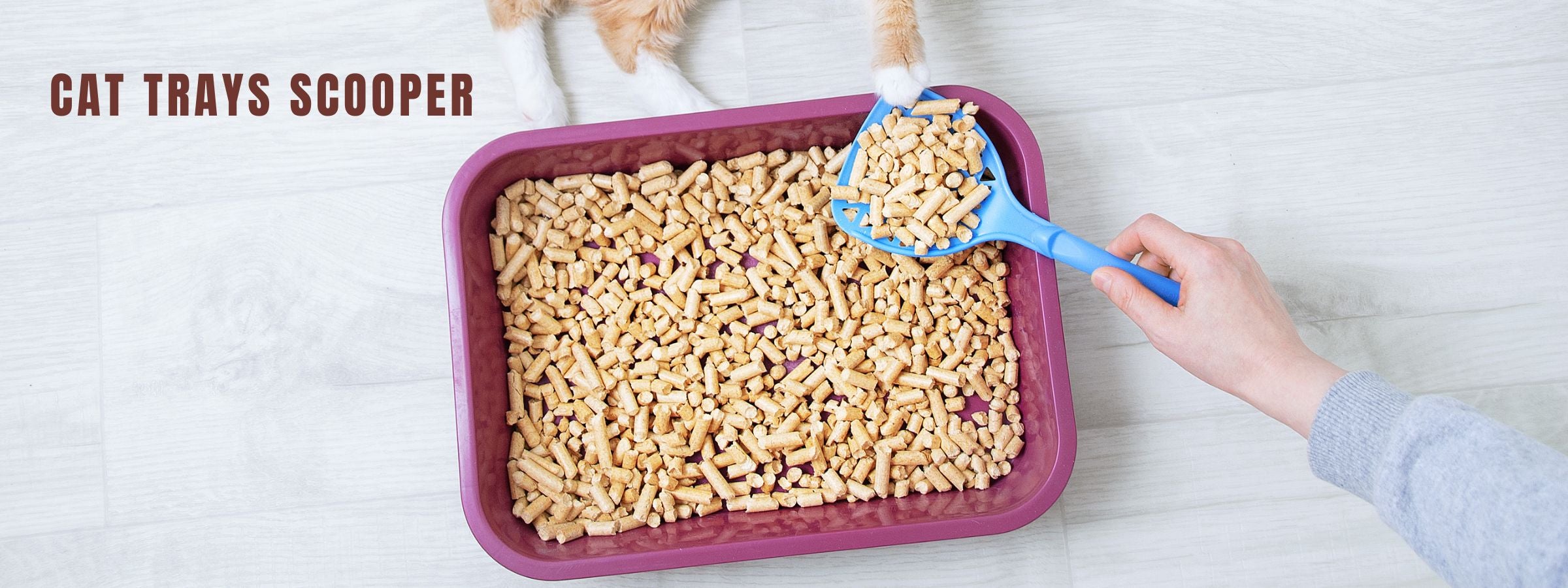 Cat Trays & Scoopers