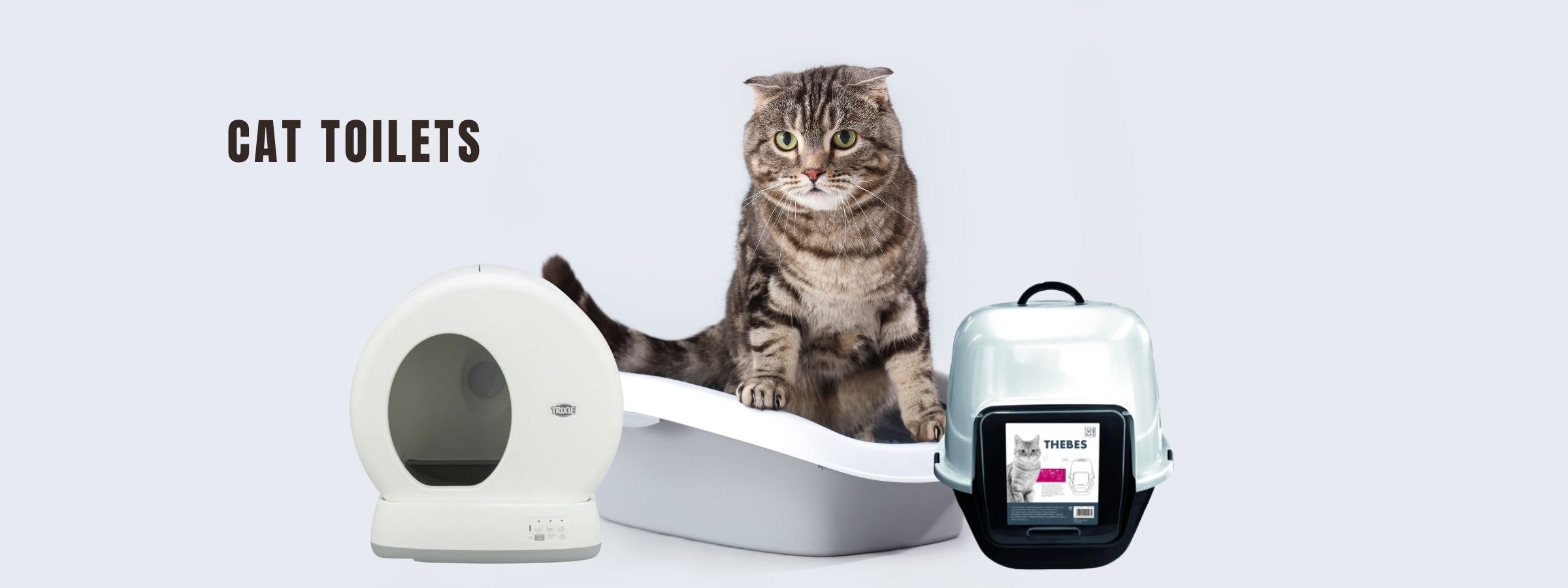 Cat Toilets