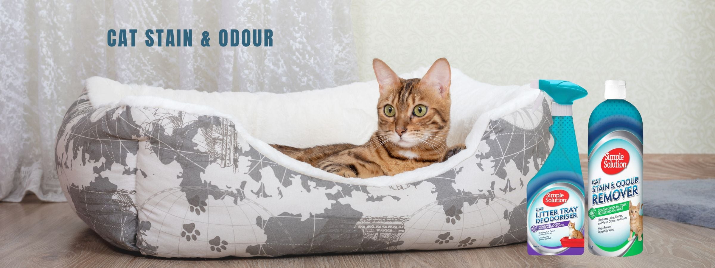Cat Stain & Odour