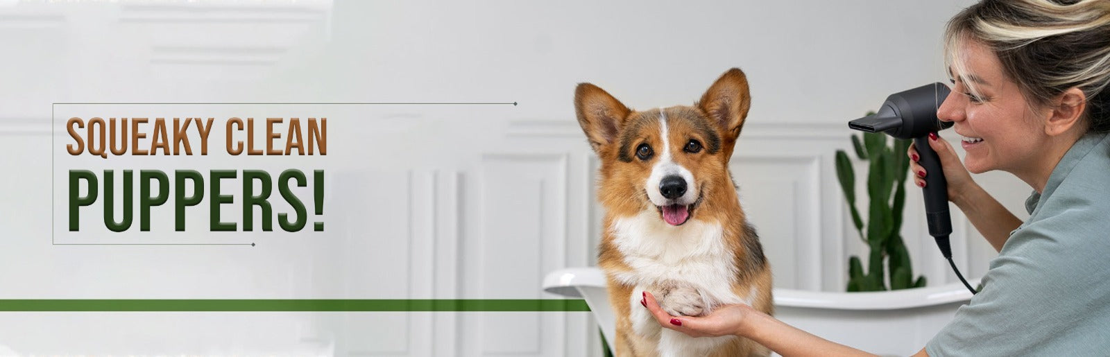 Dog Grooming & Hygiene