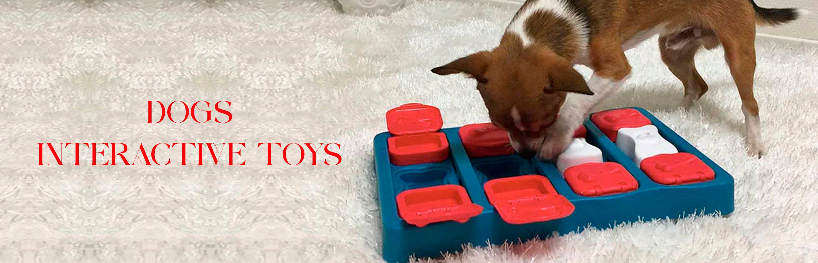 Dog Interactive Toys
