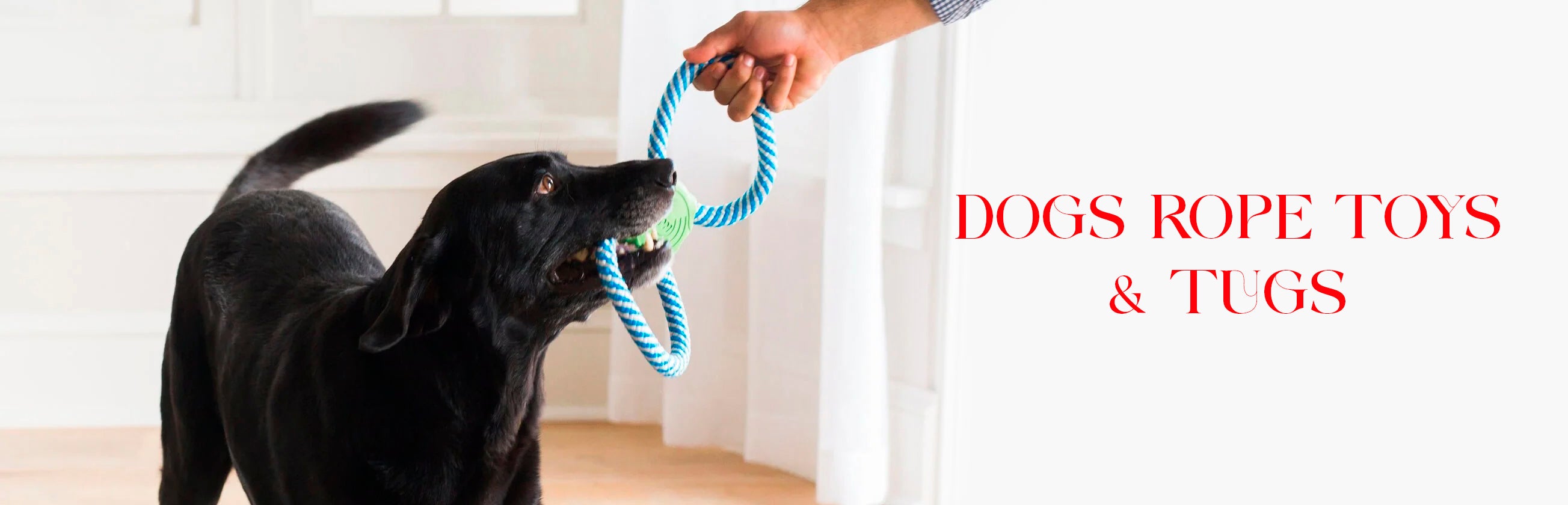 Dog Rope Toys & Tugs