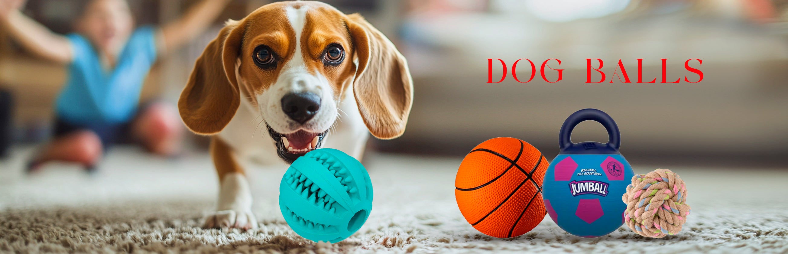 Dog Ball Toys