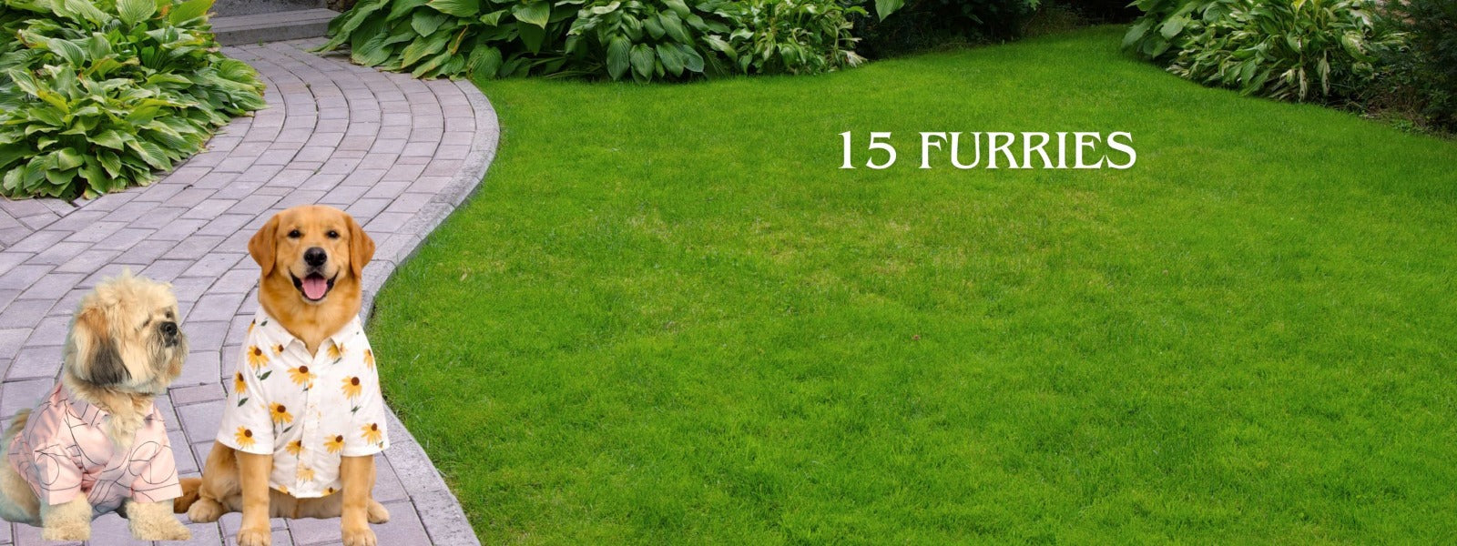 15 Furries